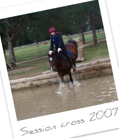 http://cheval-par-max.cowblog.fr/images/6/cross200701.jpg
