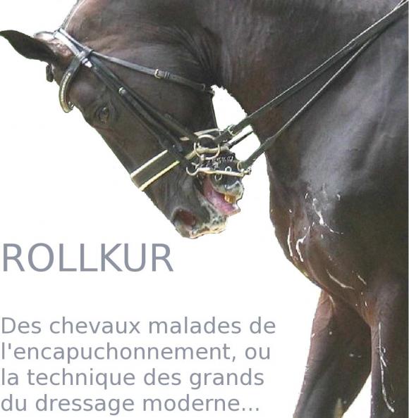 http://cheval-par-max.cowblog.fr/images/6/dossier02.jpg