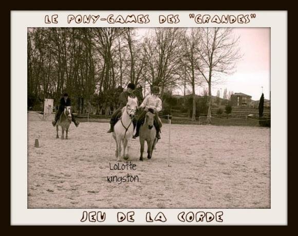 http://cheval-par-max.cowblog.fr/images/6/ponygames04.jpg