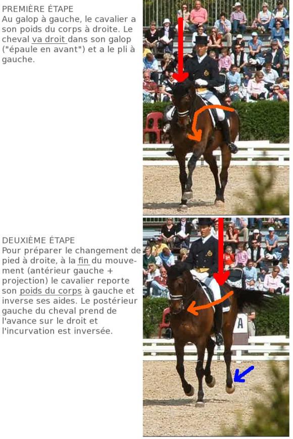 http://cheval-par-max.cowblog.fr/images/articles/changementdepied.jpg