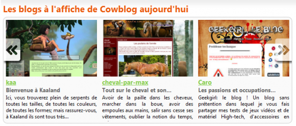 http://cheval-par-max.cowblog.fr/images/divers/image03.png